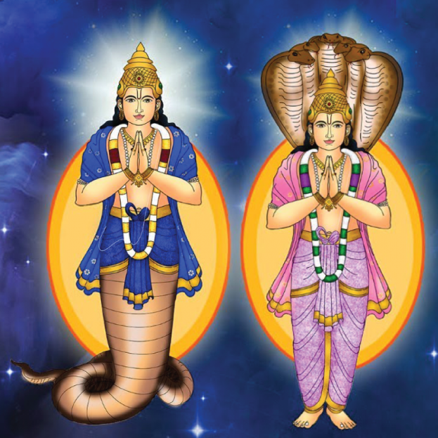 Dharma Stars Satsang Rahu-Ketu