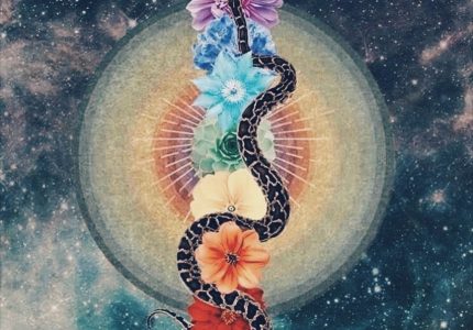 Dharma Stars Serpents of Transformation Course